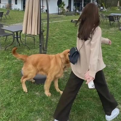 妈妈不在的10天